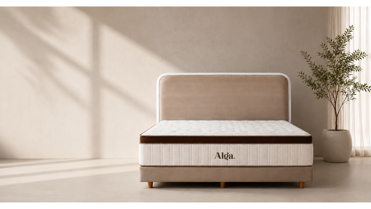 Beige mattress with 'Alga' branding in a room with a plant and light streaming through a window.